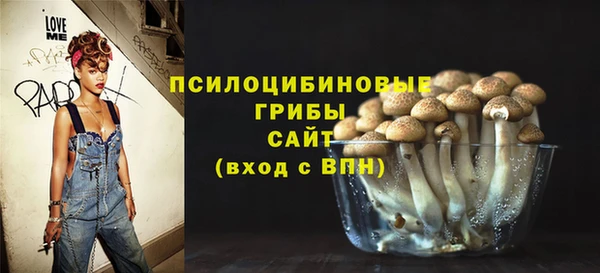 гашик Киреевск